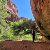 Moonflower Canyon ico