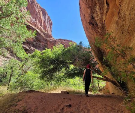 Moonflower Canyon
