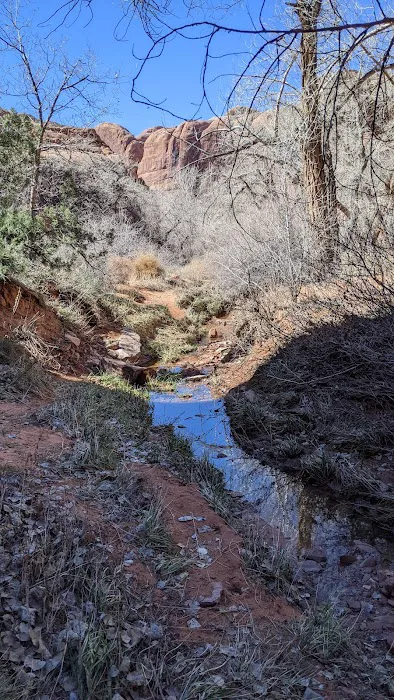 Moonflower Canyon Picture 5