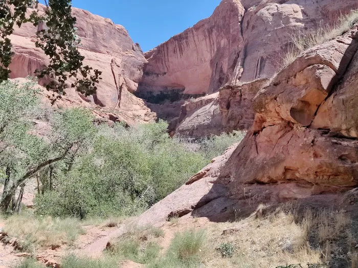 Moonflower Canyon Picture 10