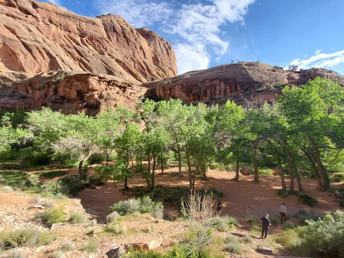 Moonflower Canyon Picture 9