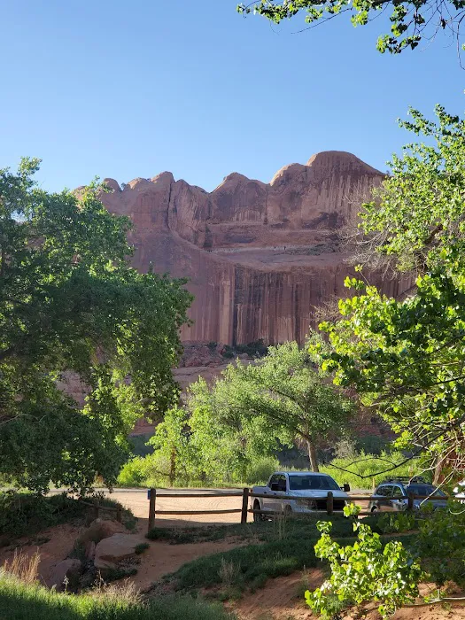 Moonflower Canyon Picture 6