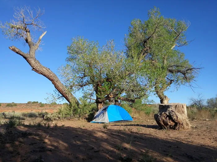 Creek Pasture Campground Picture 9