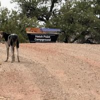 Hatch Point Campground ico