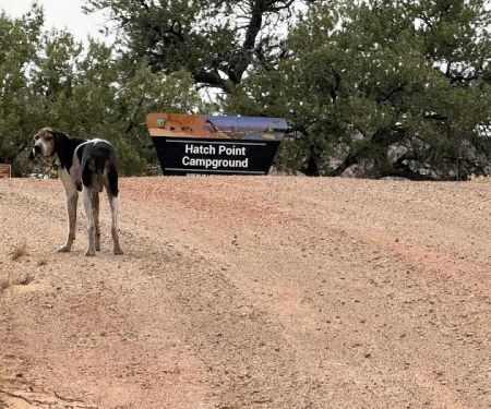 Hatch Point Campground