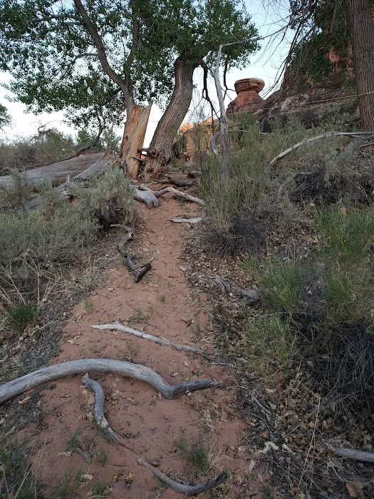 Peekaboo Campground Picture 9