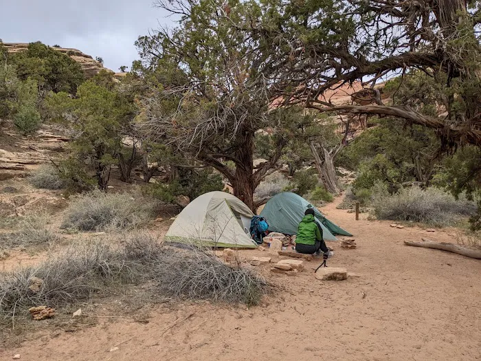 LC3 Campground Picture 6