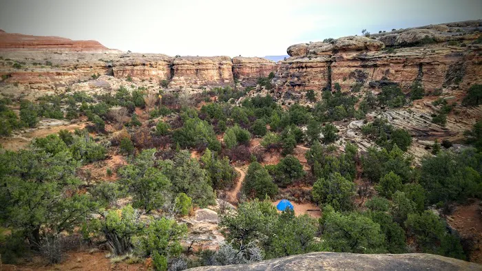 WS2 Campground Picture 6