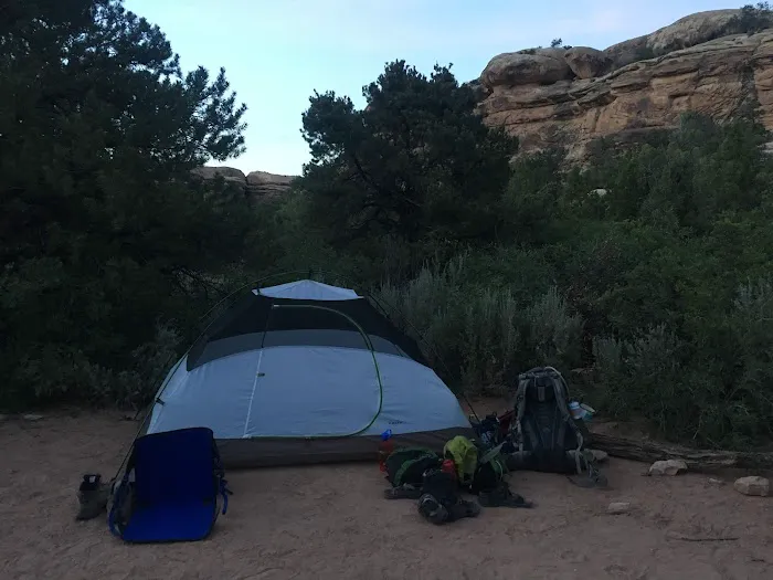 WS2 Campground Picture 1