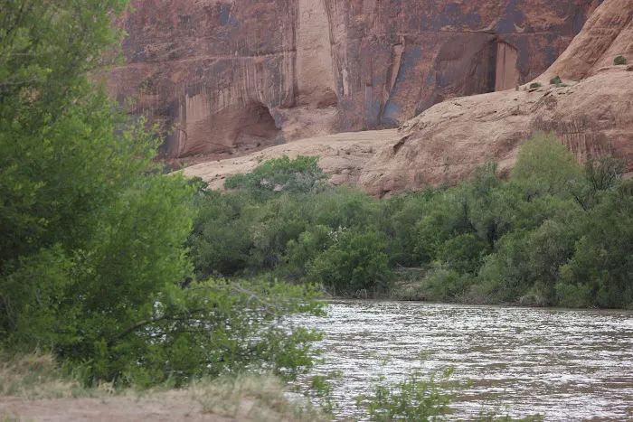 Williams Bottom Campground Picture 4