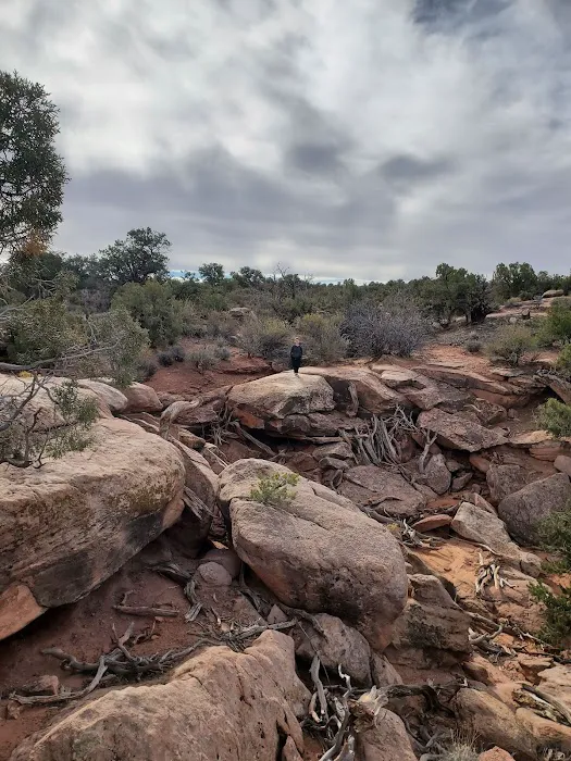 Kayenta Campground Picture 7