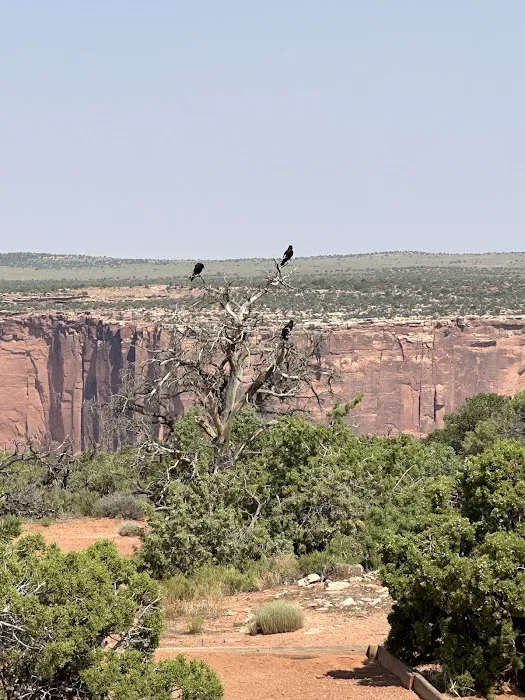 Kayenta Campground Picture 6