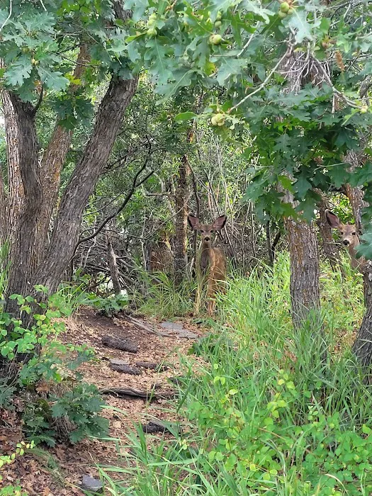 Zuni Loop Picture 1