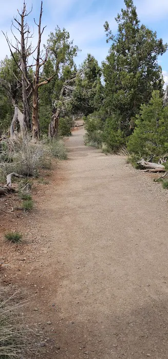 Taos Loop, Morefield Campground Picture 2