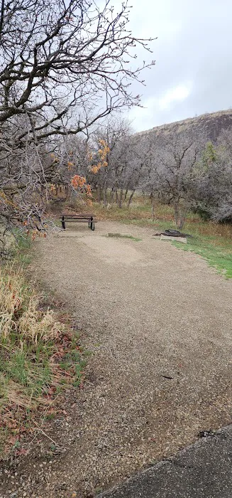 Taos Loop, Morefield Campground Picture 5