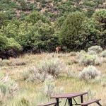 Morefield Campground