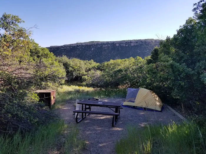 Morefield Campground Picture 8