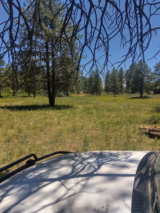 Dove Creek Camp Spot Picture 5