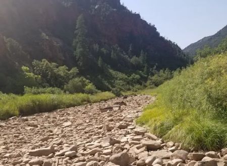 Dove Creek Camp Spot