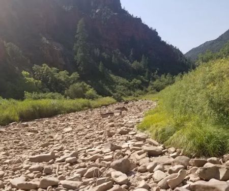 Dove Creek Camp Spot