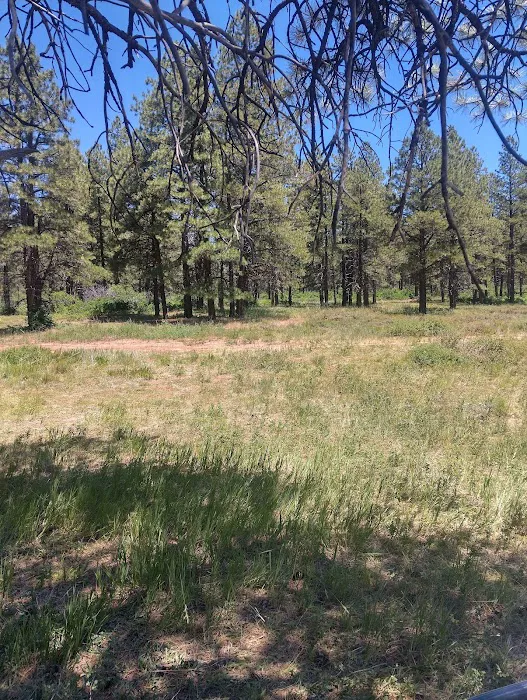 Dove Creek Camp Spot Picture 7