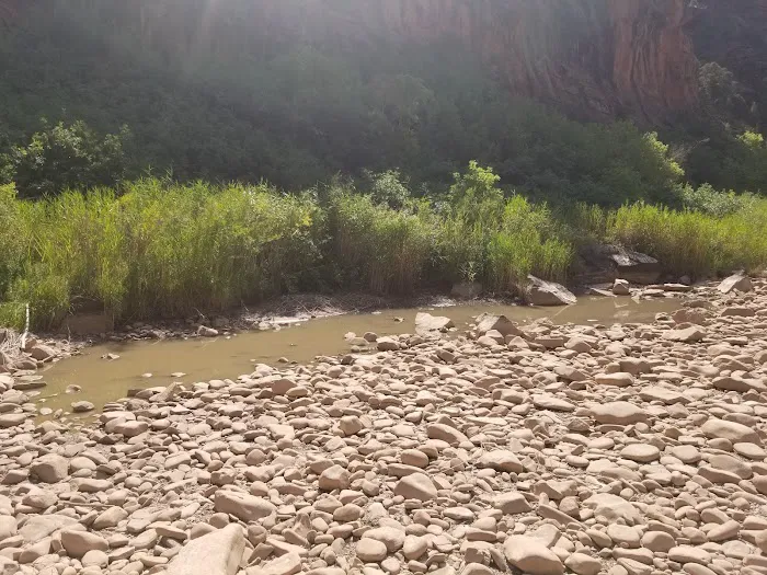 Dove Creek Camp Spot Picture 2