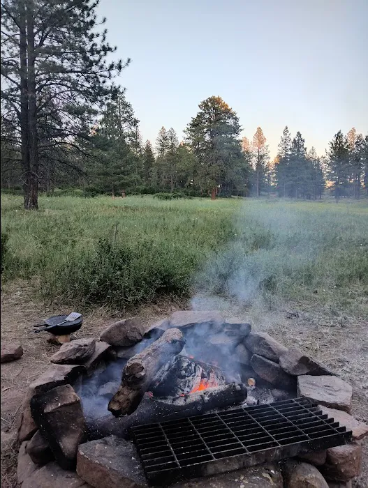 Dove Creek Camp Spot Picture 3