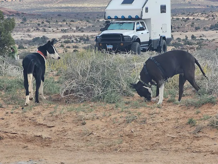 Lone Mesa Campground Picture 9