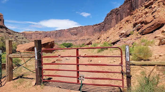 Lone Mesa Campground Picture 7