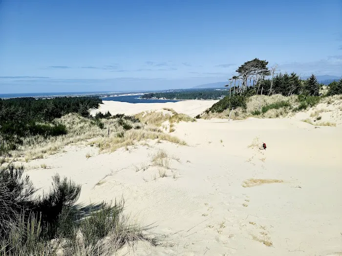 South Jetty Sand Camping Access Picture 6