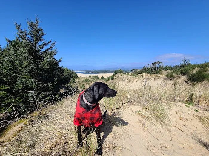 South Jetty Sand Camping Access Picture 2