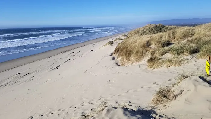 South Jetty Sand Camping Access Picture 8