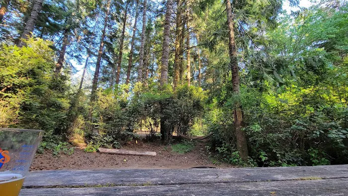 Jessie M. Honeyman Memorial State Park Campground Picture 9