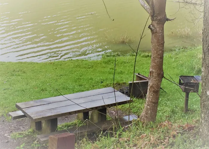 East Shore Campground Picture 4