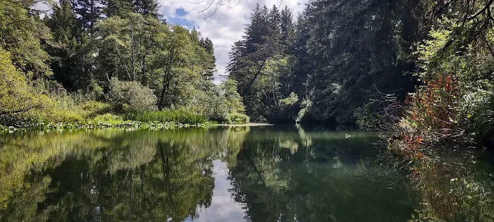 Tyee Campground Picture 7
