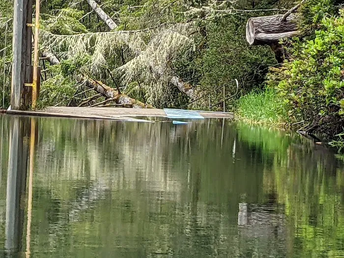 Tyee Campground Picture 1