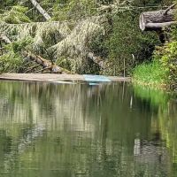 Tyee Campground ico