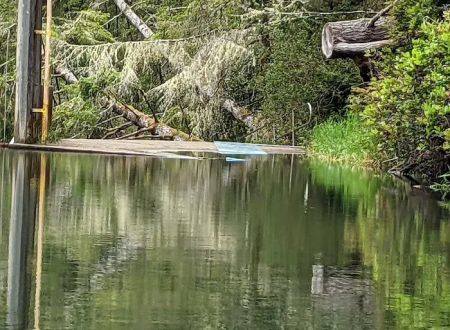 Tyee Campground
