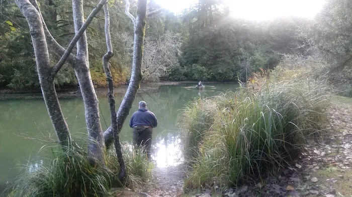 Tyee Campground Picture 6