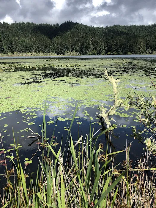 Tahkenitch Landing Campground Picture 6