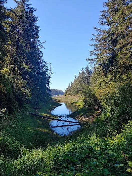 Tahkenitch Campground Picture 1
