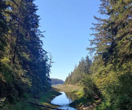 Tahkenitch Campground