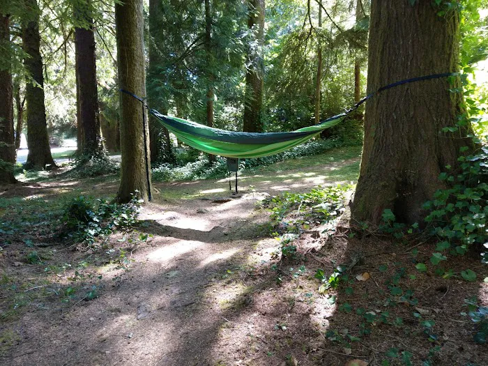 Tahkenitch Campground Picture 6