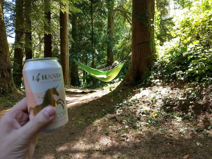 Tahkenitch Campground Picture 7