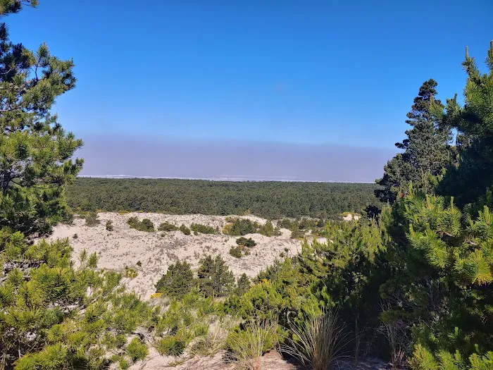 Tahkenitch Campground Picture 3