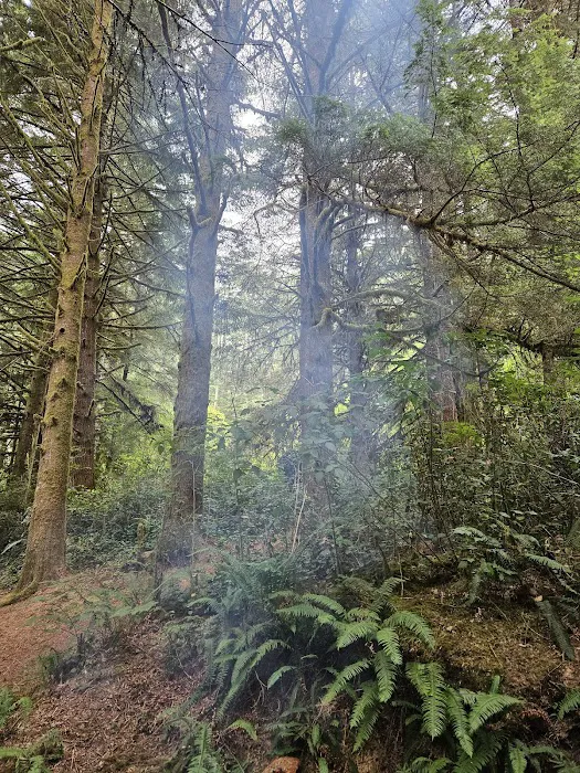 Tahkenitch Campground Picture 4