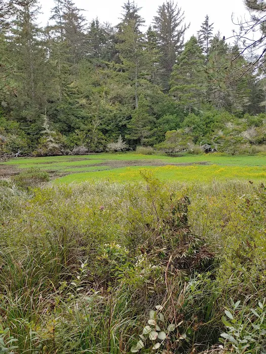 Lagoon Campground Picture 5