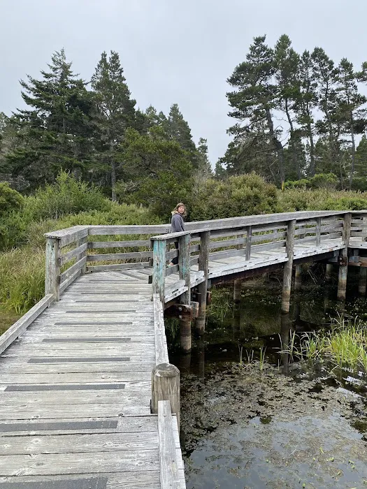 Lagoon Campground Picture 4