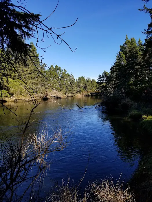 Waxmyrtle Campground Picture 5