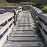Waxmyrtle Campground